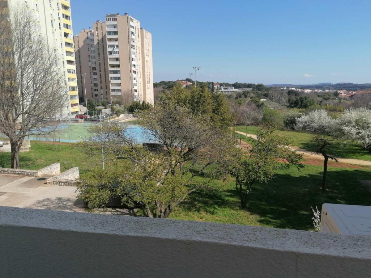 Apartment Petra